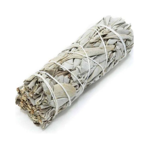 4" White Sage