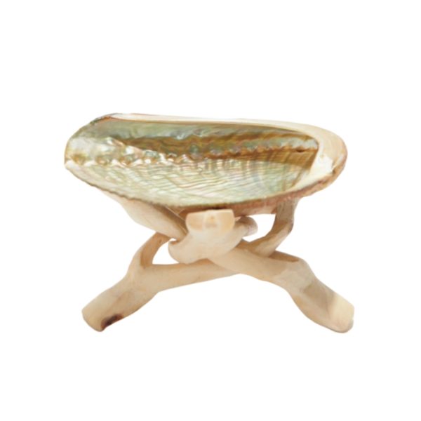 Mini Abalone Shell With Stand (2-3")