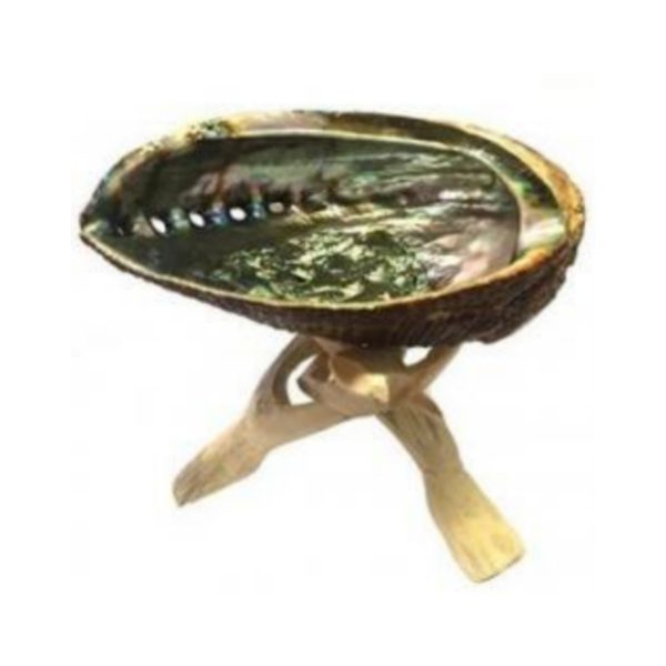 Medium Abalone Shell With Stand (3-4")