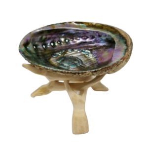 Large Abalone Shell With Stand (5-6")