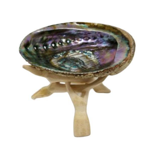 Large Abalone Shell With Stand (5-6")