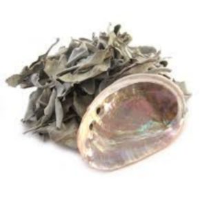 Mini Abalone Shell (2+3") With Loose White Sage Mini Abalone Shell (2+3") With Loose White Sage