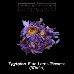 Egyptian Blue Lotus Whole Flower