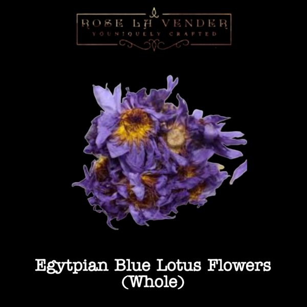 Egyptian Blue Lotus Whole Flower
