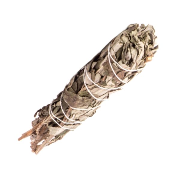 4" Love Sage
