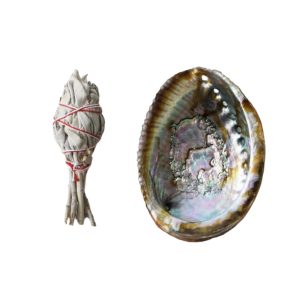 Mini Sage Torch & Abalone Shell (2-3")