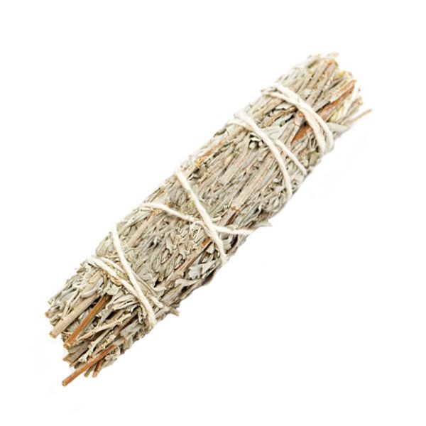 4" Frankincense Sage