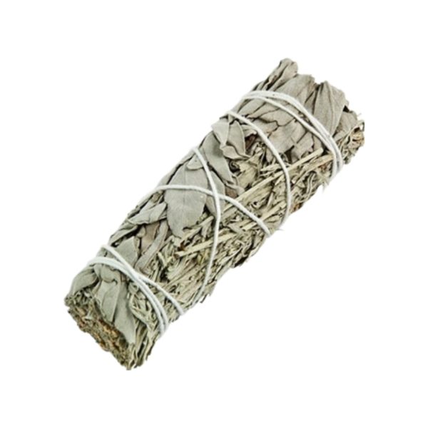 4" White & Blue Sage