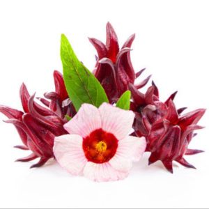 Hibiscus Flowers Dried Hibiscus Flowers Dried